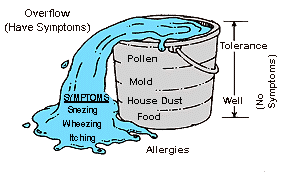 mold bucket